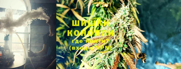индика Навашино