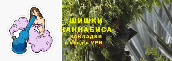 индика Навашино