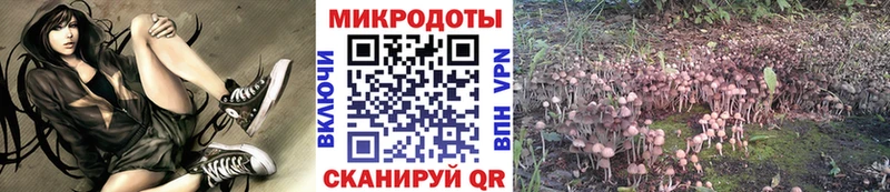 Псилоцибиновые грибы Cubensis Купить закладки Отрадный